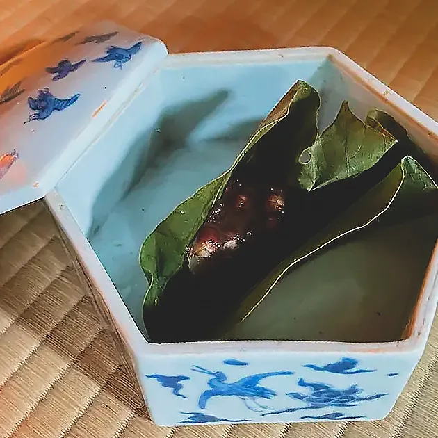 The Pleasure of Tea Ceremony | 小堀遠州流 三楽庵 茶道教室