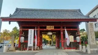 日本茶道連盟 第百拾八回茶会 於 護国寺 令和五年十一月三日